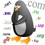 Советы по грамотному выбору доменов